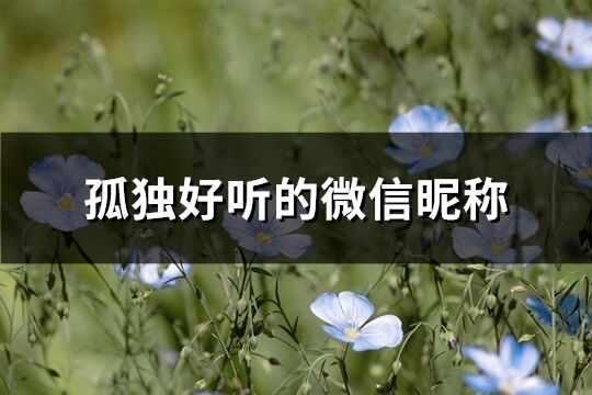 孤獨(dú)好聽的微信昵稱(精選64個(gè))