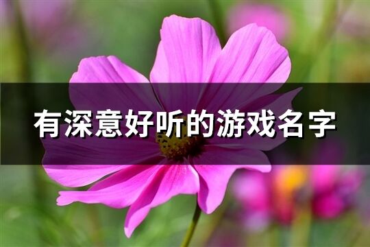 有深意好聽的游戲名字(優選645個)