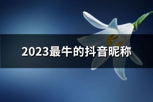 2023最牛的抖音昵稱(355個)