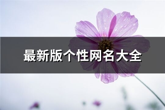 最新版?zhèn)€性網(wǎng)名大全(共604個(gè))