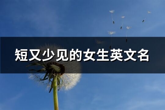 短又少見的女生英文名(精選130個)