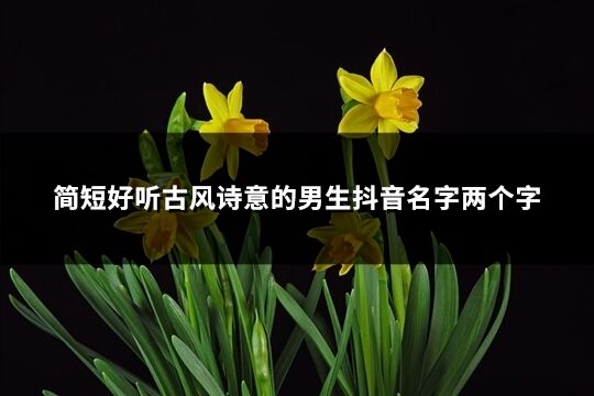 簡短好聽古風詩意的男生抖音名字兩個字(共402個)