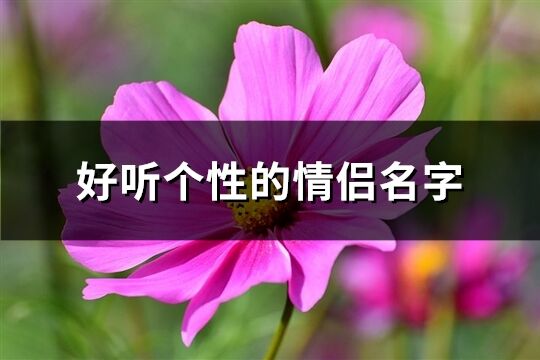 好聽個性的情侶名字(207個)