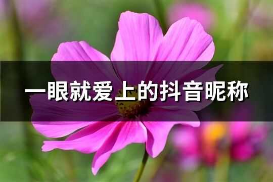 一眼就愛上的抖音昵稱(共93個)