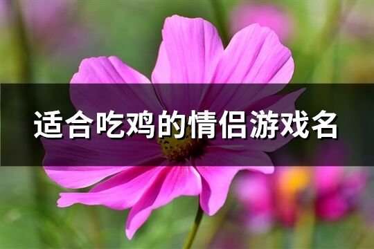 適合吃雞的情侶游戲名(共78個)