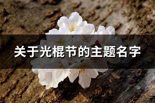 關于光棍節的主題名字(共80個)