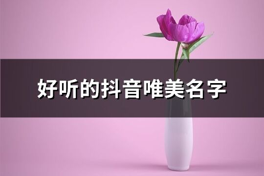 好聽的抖音唯美名字(共224個)