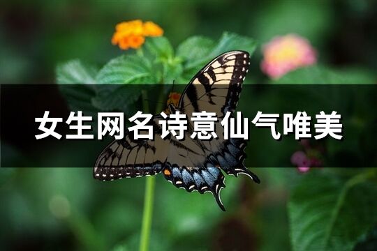 女生網名詩意仙氣唯美(優選100個)