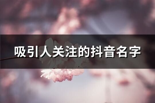 吸引人關注的抖音名字(優選886個)