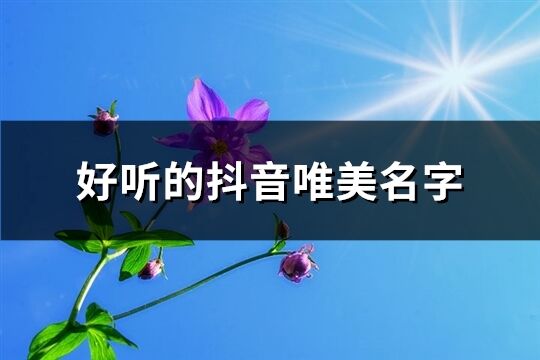 好聽的抖音唯美名字(共199個)