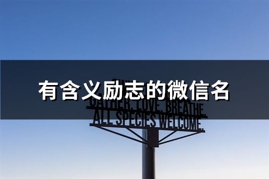 有含義勵志的微信名(優選253個)