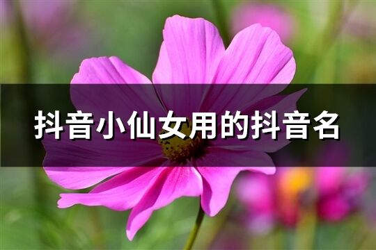 抖音小仙女用的抖音名(精選240個(gè))