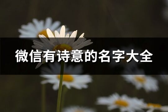 微信有詩意的名字大全(共563個)