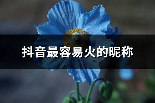 抖音最容易火的昵稱(精選1556個)