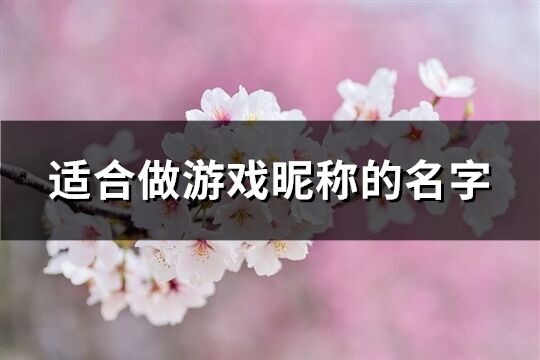 適合做游戲昵稱的名字(共619個)