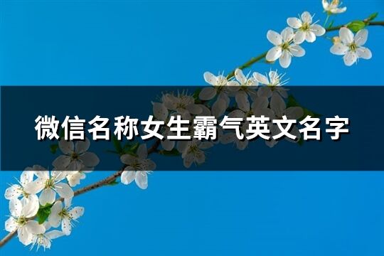 微信名稱女生霸氣英文名字(優選65個)