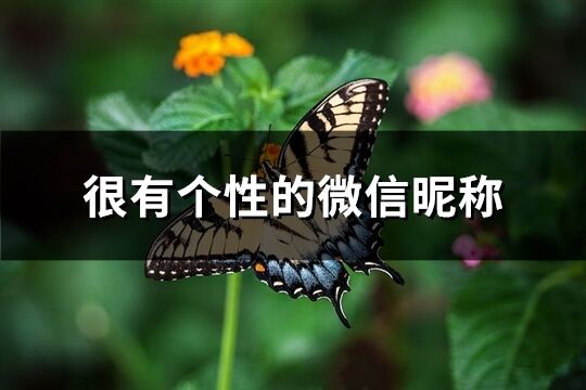 很有個性的微信昵稱(優選905個)