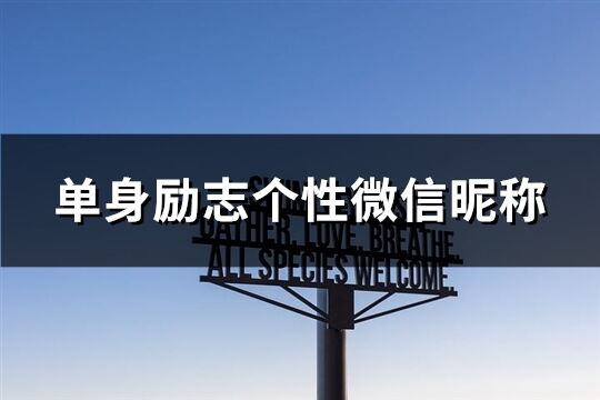 單身勵(lì)志個(gè)性微信昵稱(精選216個(gè))