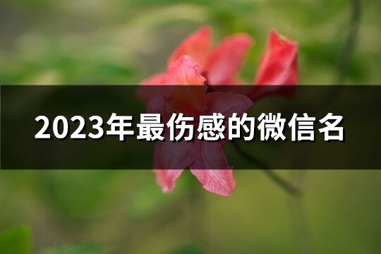 2023年最傷感的微信名(優(yōu)選2803個(gè))