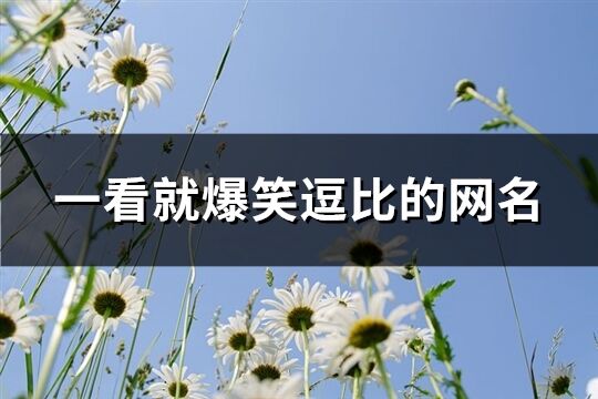 一看就爆笑逗比的網名(130個)