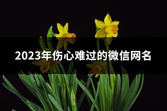 2023年傷心難過的微信網(wǎng)名(共474個)