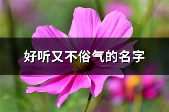 好聽又不俗氣的名字(優(yōu)選253個)