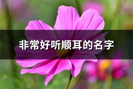 非常好聽順耳的名字(精選71個(gè))