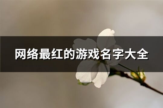 網絡最紅的游戲名字大全(精選521個)