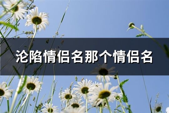 淪陷情侶名那個情侶名(精選109個)