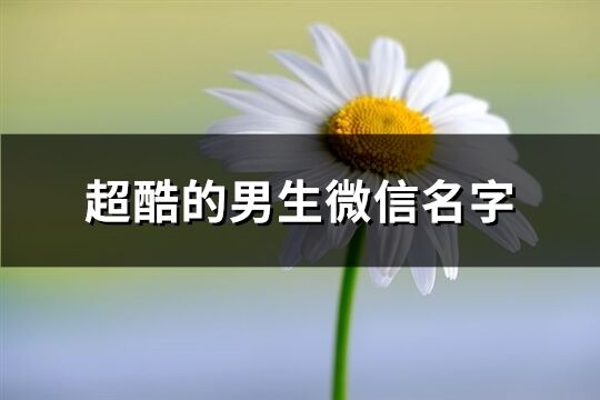 超酷的男生微信名字(423個)