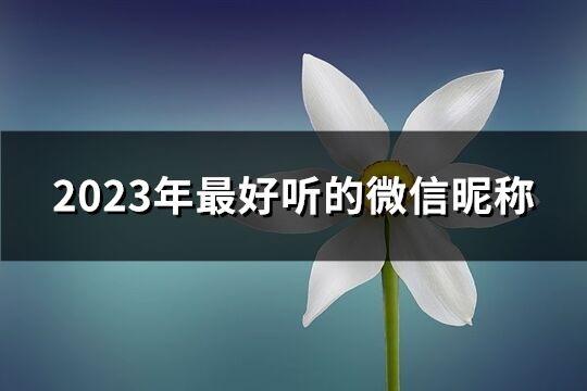 2023年最好聽的微信昵稱(優(yōu)選913個)