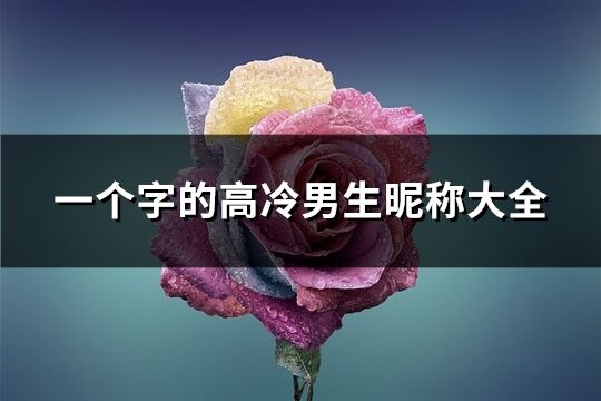 一個(gè)字的高冷男生昵稱大全(優(yōu)選56個(gè))