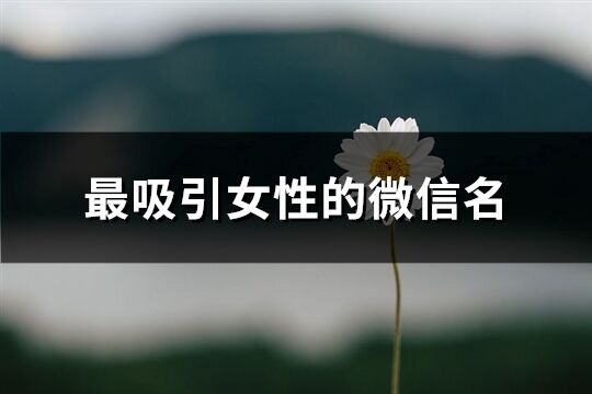 最吸引女性的微信名(精選853個)