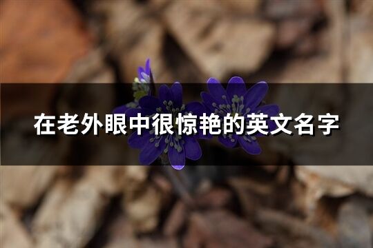 在老外眼中很驚艷的英文名字(精選93個)