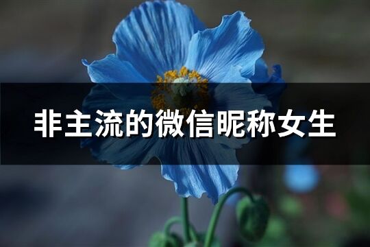 非主流的微信昵稱女生(精選562個)