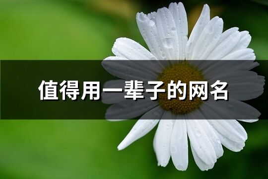 值得用一輩子的網(wǎng)名(優(yōu)選381個(gè))