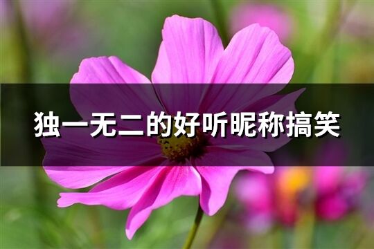 獨一無二的好聽昵稱搞笑(優(yōu)選419個)