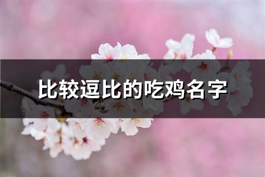 比較逗比的吃雞名字(201個)