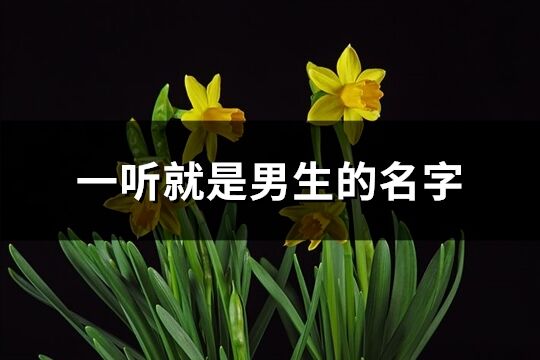 一聽就是男生的名字(優(yōu)選140個)