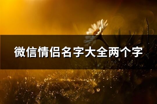 微信情侶名字大全兩個字(精選411個)