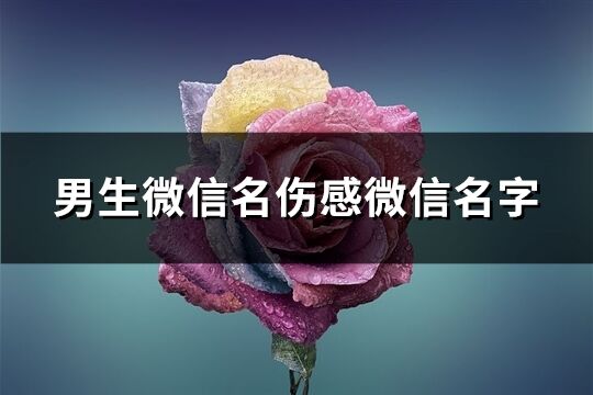 男生微信名傷感微信名字(178個)