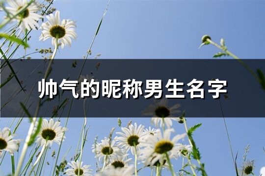 帥氣的昵稱男生名字(共575個)