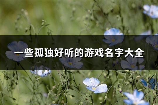 一些孤獨(dú)好聽的游戲名字大全(共341個(gè))