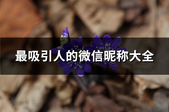 最吸引人的微信昵稱大全(優選303個)