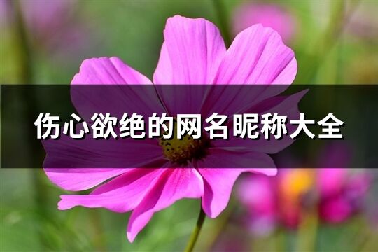 傷心欲絕的網(wǎng)名昵稱(chēng)大全(321個(gè))