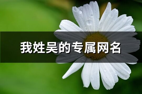 我姓吳的專屬網名(共75個)