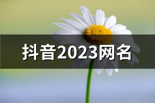 抖音2023網名(優選1445個)