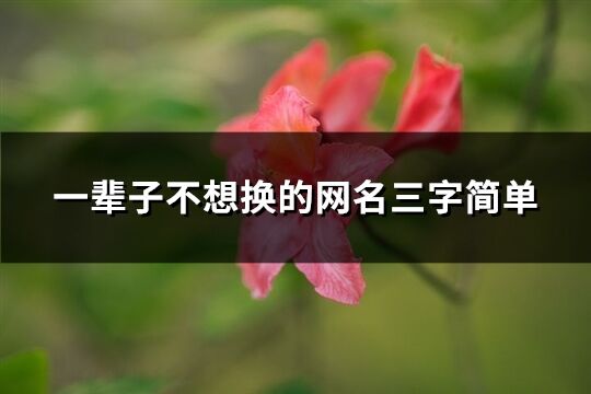 一輩子不想換的網名三字簡單(精選1294個)