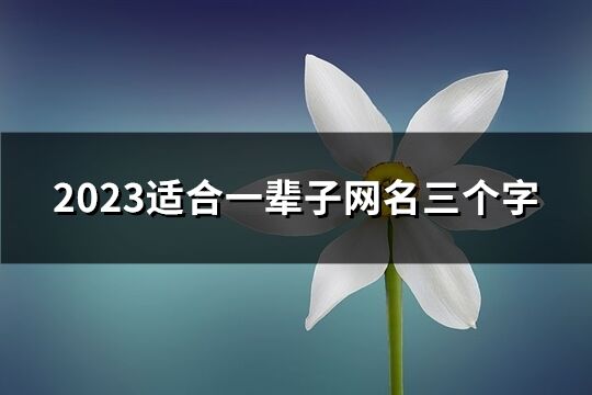 2023適合一輩子網(wǎng)名三個(gè)字(精選910個(gè))