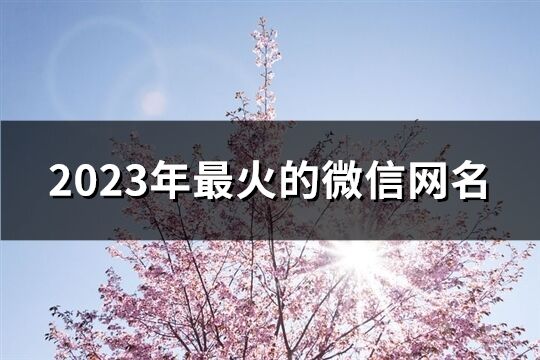 2023年最火的微信網(wǎng)名(精選632個)